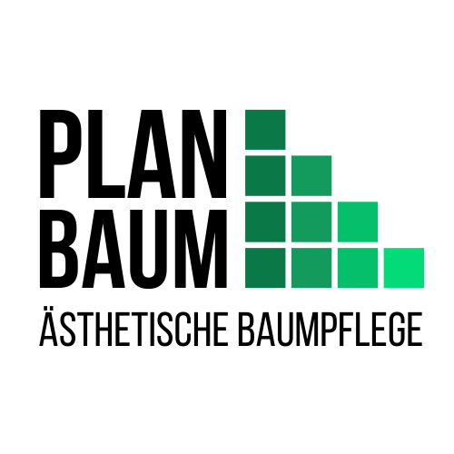Planbaum
